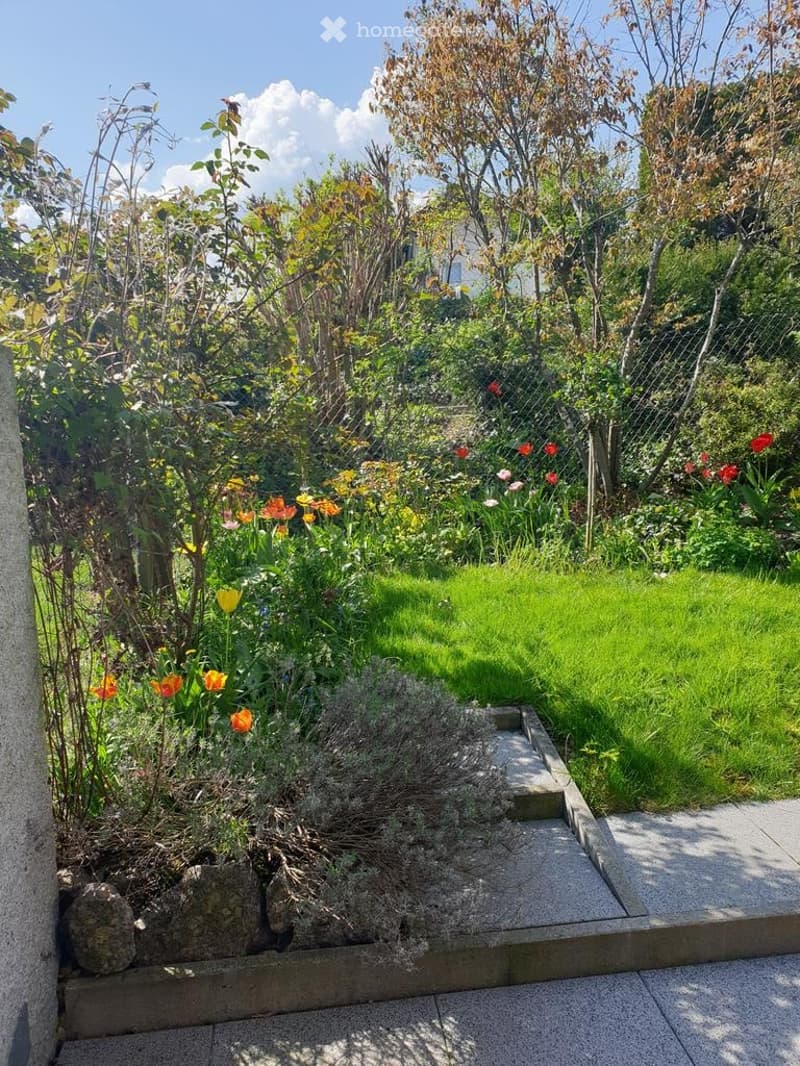 Garden with a mix of flowers, shrubs, and a neatly trimmed lawn, bordered by a low concrete wall and a wire fence.