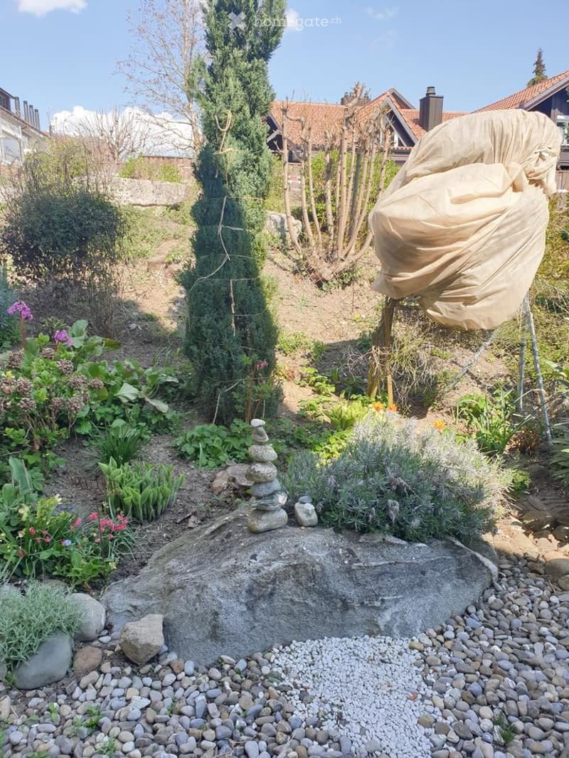 Garden with a variety of plants, a tall conifer tree, a covered sculpture, and a stack of stones on a rock.
