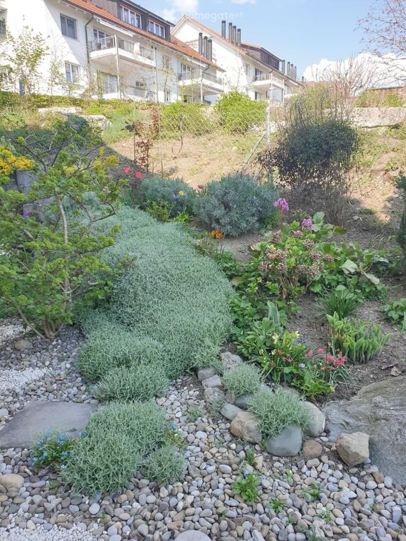 A well-maintained garden with a variety of plants, shrubs, and flowers arranged on a rocky terrain. The garden features a mix of greenery and colorful blooms, with a pathway leading through the area.