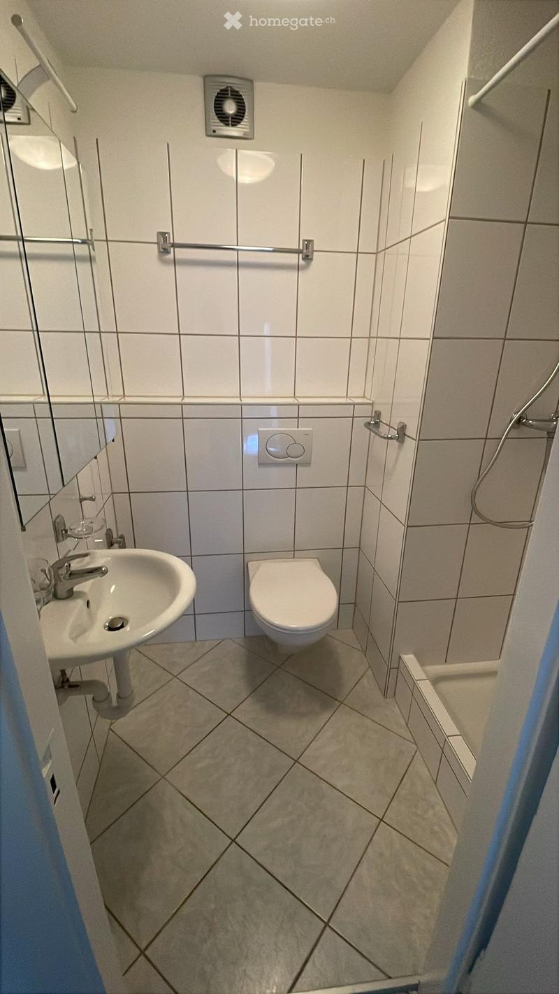 Compact bathroom with white tiled walls, a toilet, a sink with a mirror, and a shower area with a glass enclosure.