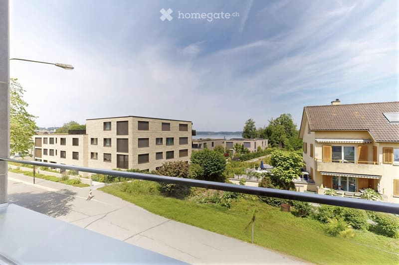 View from a balcony showing a modern residential complex with a mix of apartment buildings and single-family houses, surrounded by greenery and a well-maintained lawn.