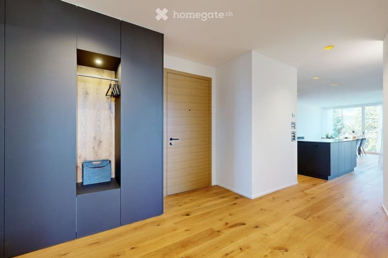 Modern hallway with wooden flooring, grey built-in closet, and a wooden door leading to another room.
