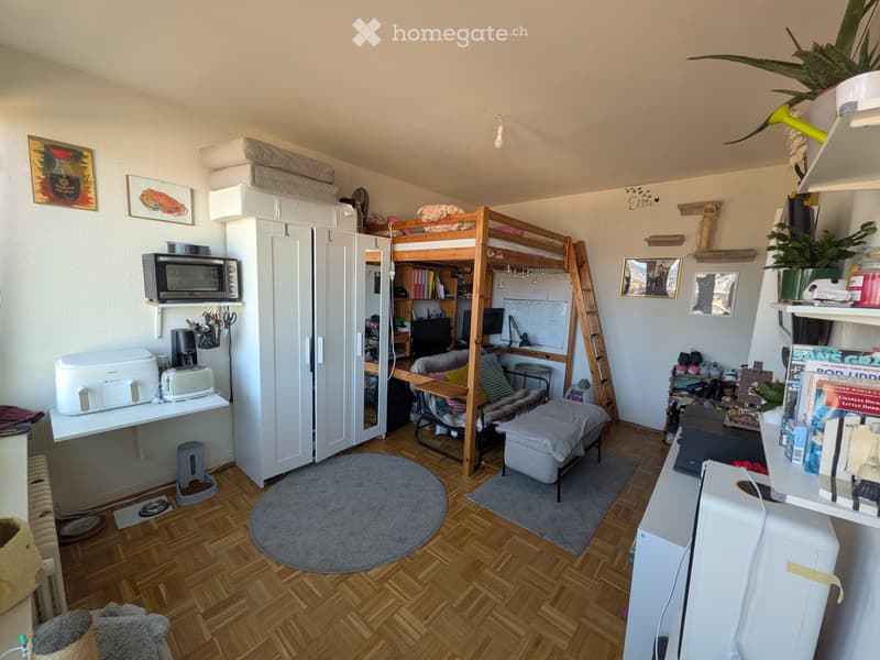 {"type": "Furnished Room", "objects": ["microwave", "toaster", "printer", "stool", "chair", "table", "laptop", "cat litter", "cat bed", "books", "picture frame", "stool", "stool", "stool", "stool", "stool", "stool", "stool", "stool", "stool", "stool", "st