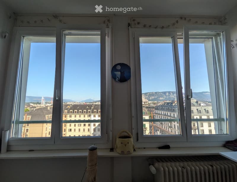 Windows with a cityscape view, a small cat toy on the windowsill, and a radiator below.