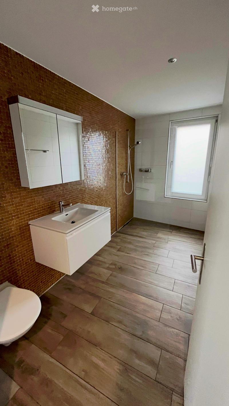 Modern bathroom with a white sink, mirror cabinet, toilet, and a glass-enclosed shower area. The walls are tiled in warm tones, and the floor is made of large stone tiles.