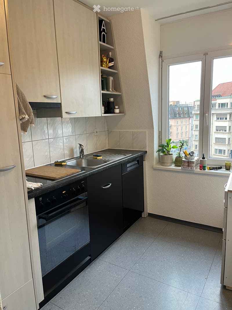Modern kitchen with light wood cabinets, stainless steel sink, oven, and dishwasher. Includes a window with a city view and small plants on the windowsill.