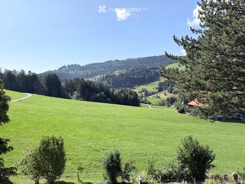 A panoramic view of a lush green meadow surrounded by dense forest and hills under a clear blue sky.