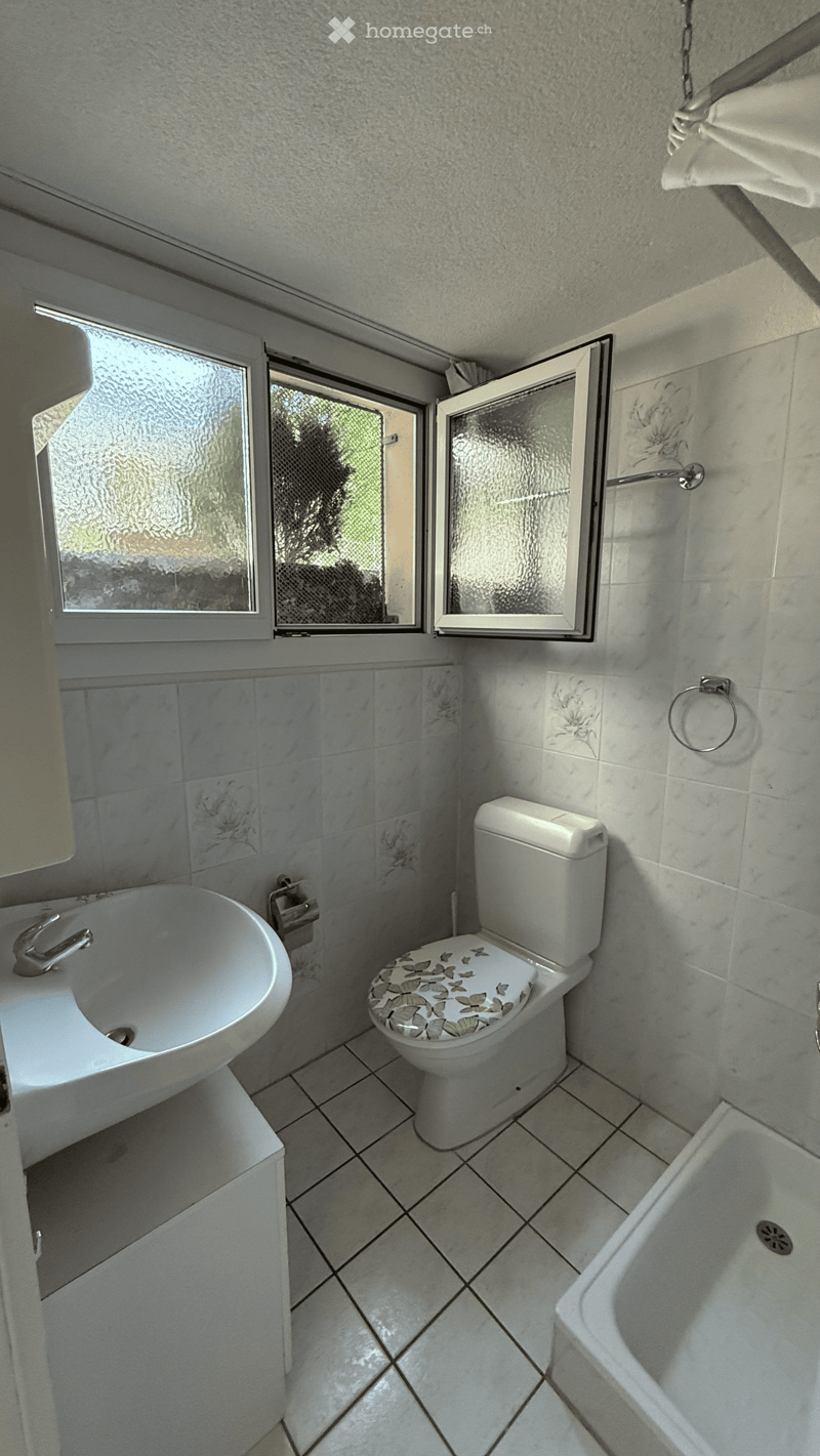 Bathroom with white tiles, a sink, toilet, bathtub, and a towel ring. The toilet seat has a decorative butterfly cover.