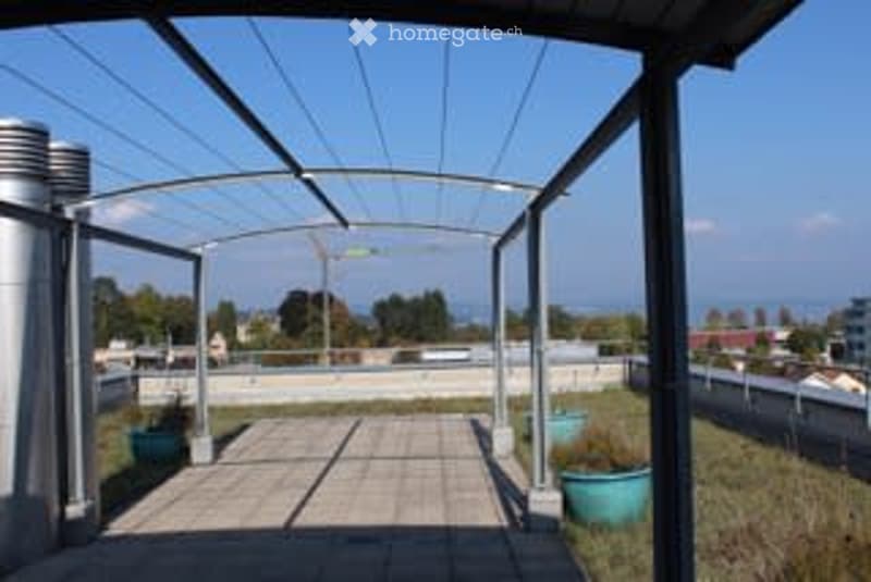 Dachterrasse zur Mitbenützung