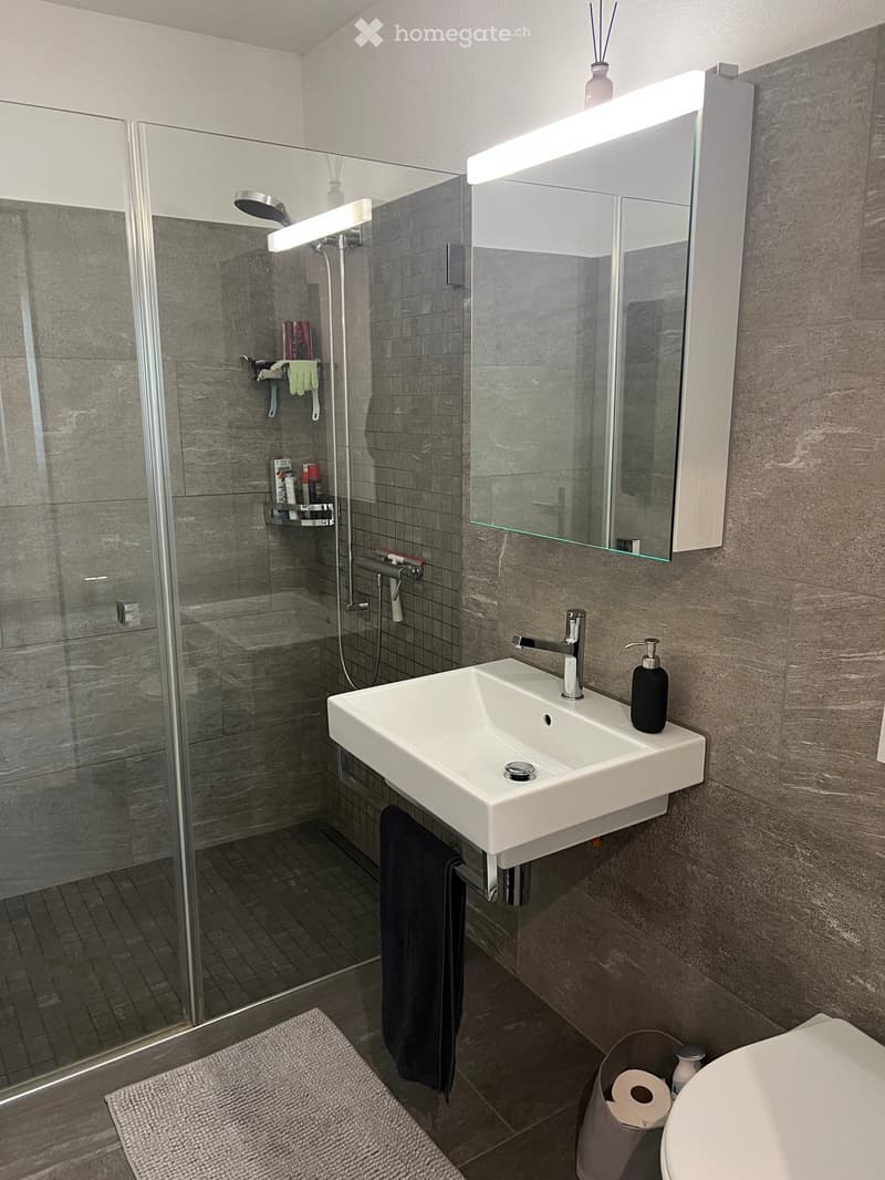 Modern bathroom with a white sink, mirror with built-in lighting, glass-enclosed shower, and dark grey tiles.