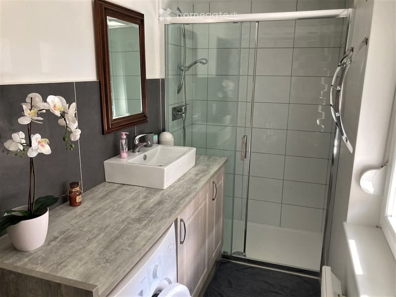 Modern bathroom with a white sink, mirror, glass shower enclosure, and a decorative flower pot on the counter.
