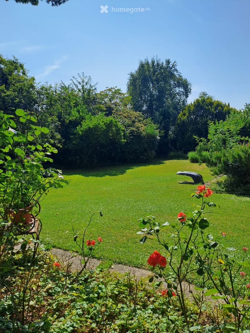 Well-maintained garden with a large, neatly trimmed lawn surrounded by dense greenery and flowering plants.