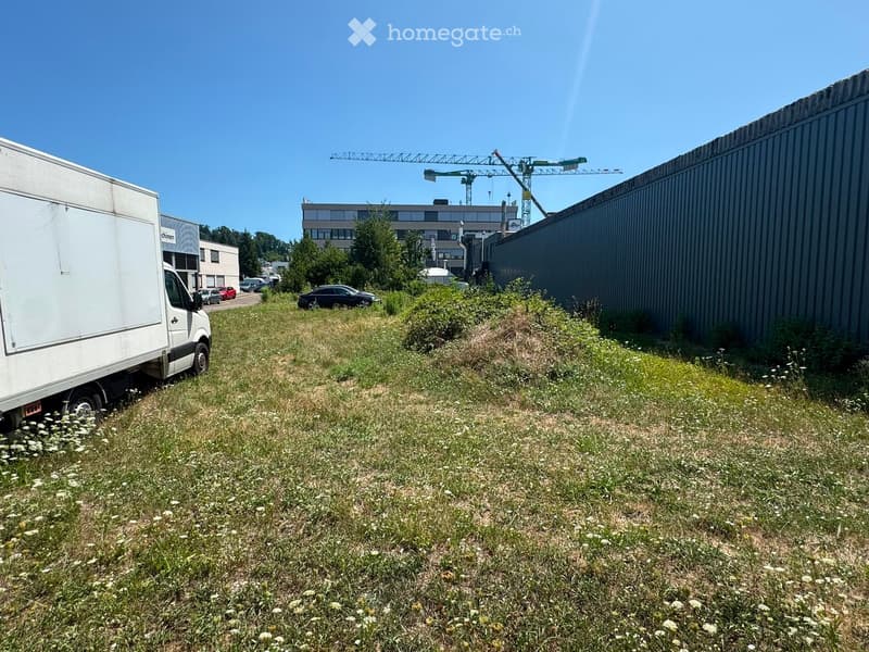 Overgrown grassy area with scattered white flowers, a white van, several parked cars, and a construction crane in the background.