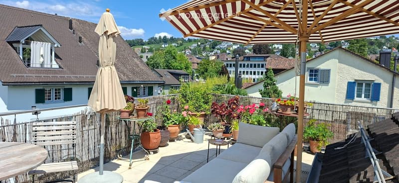A sunny outdoor patio with a view of a town, featuring a sofa, table, chairs, umbrella, and several potted plants.