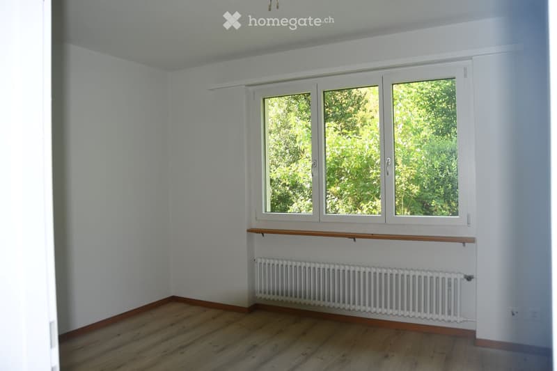 Ruhige Wohnung am See mit wunderbarer Aussicht (Nussbaumen AG) (6)