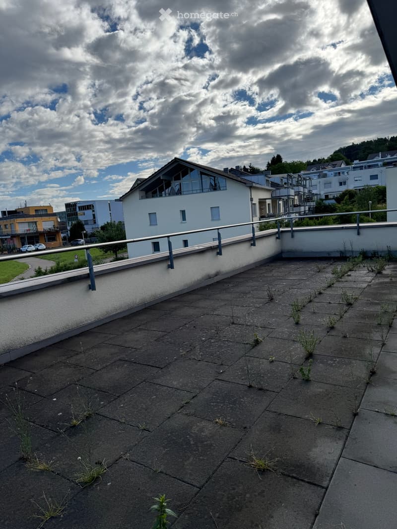 Roof terrace with concrete tiles, metal railing, and small patches of grass growing between tiles.