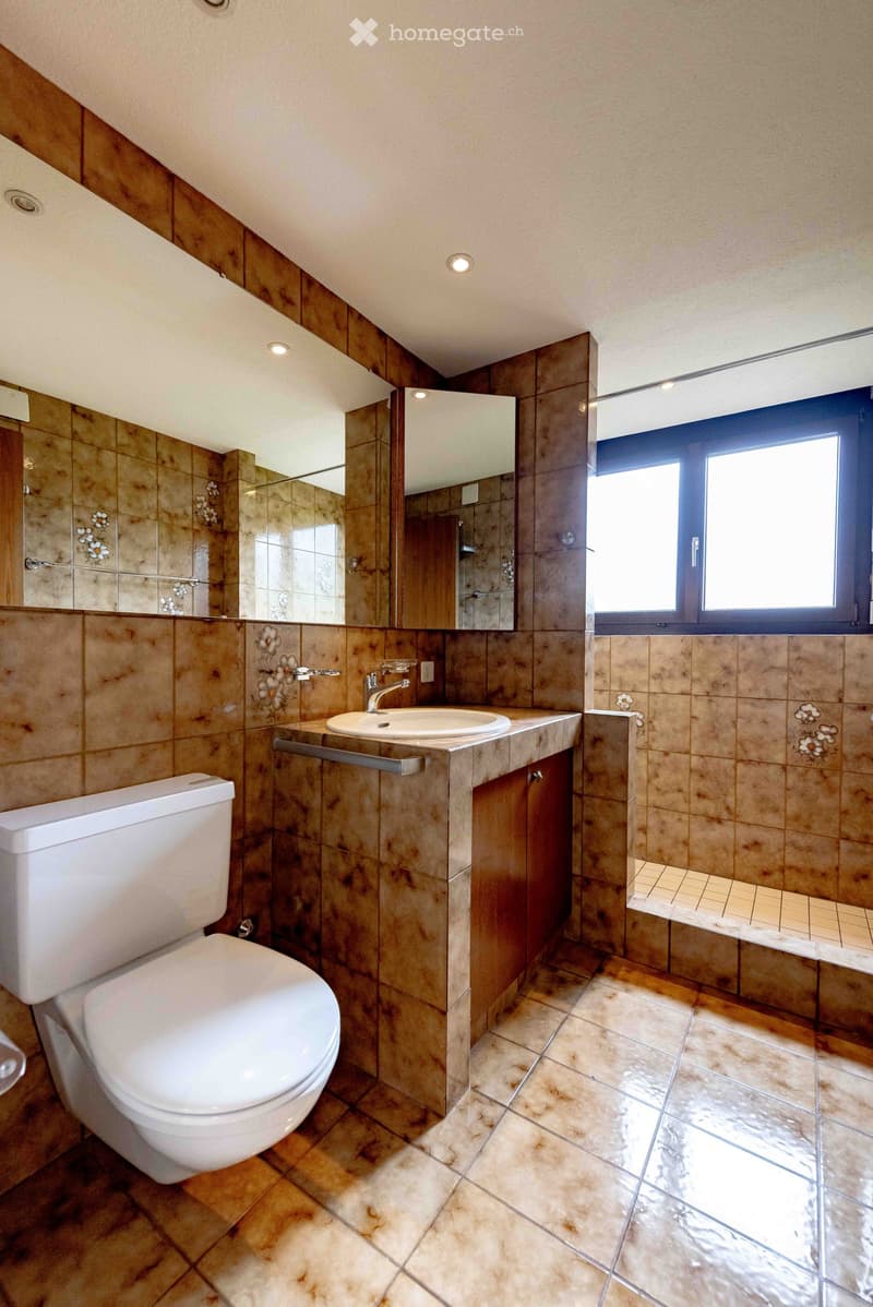 Modern bathroom with brown tiled walls, a white toilet, a sink with a chrome faucet, and a large mirror above the sink. The floor is tiled in a warm, earthy tone, and there is a window providing natural light.