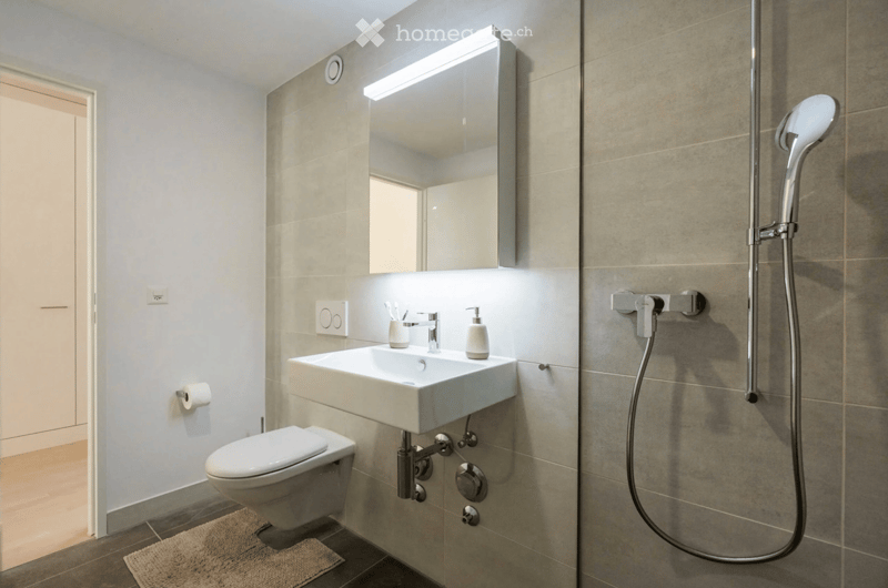 Modern bathroom with a toilet, sink, mirror, and showerhead. The sink has a modern faucet and a soap dispenser, and a toothbrush holder is visible. The showerhead is mounted on the wall with a handheld sprayer.