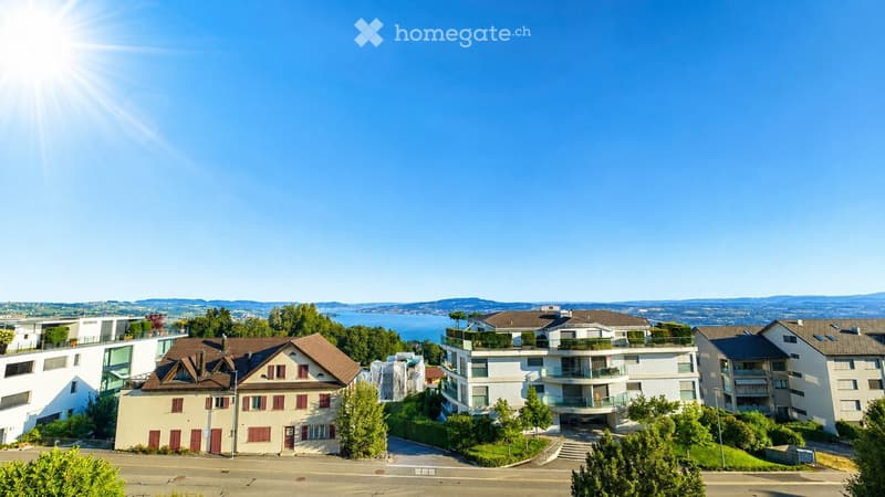 Aerial view of a residential area with modern and traditional houses, surrounded by greenery and a scenic lake in the background.