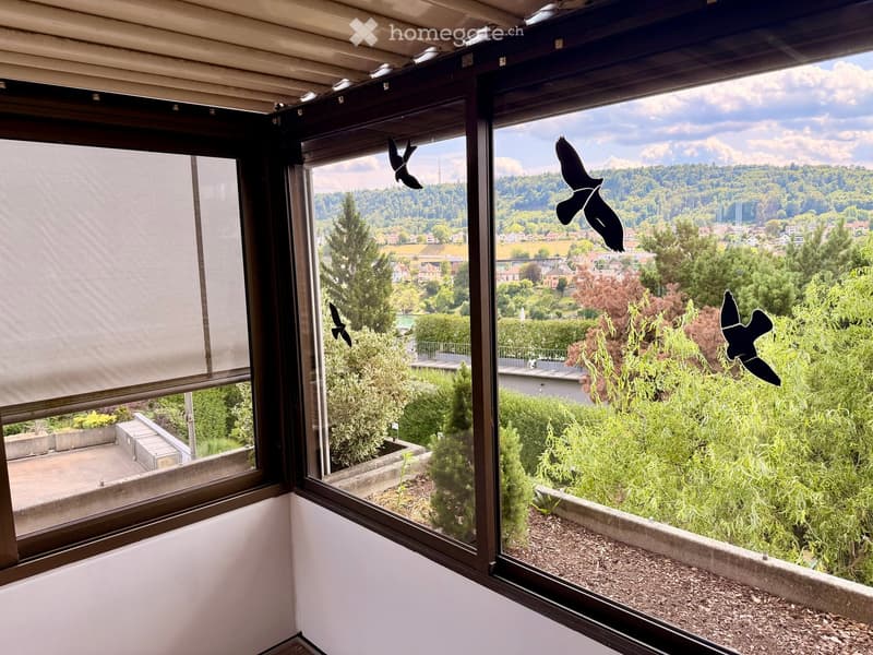 Balcony with large windows offering a scenic view of a green landscape and distant cityscape.