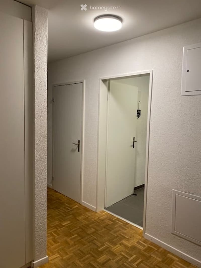 A narrow hallway with wooden flooring, white walls, and two closed doors. A recessed ceiling light illuminates the space.