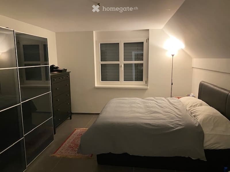 Modern bedroom with a large bed, a sleek wardrobe, a floor lamp, and a decorative rug.