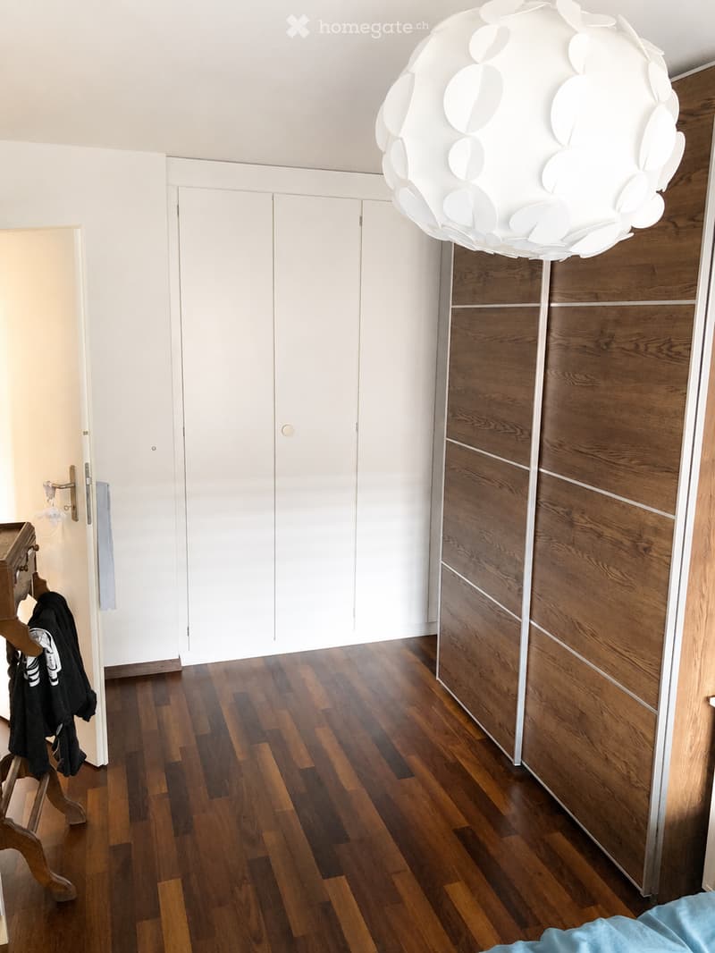 Modern hallway with wooden flooring, white walls, built-in wooden closet, and a large spherical light fixture hanging from the ceiling.