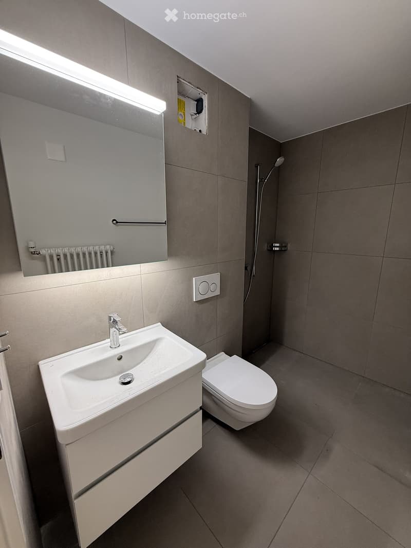 Modern bathroom with a white sink, toilet, large mirror, and a showerhead on the wall.