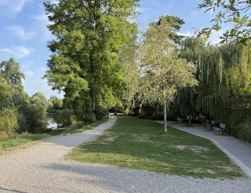 A serene park area with a gravel pathway, grassy areas, benches, and trees, including a weeping willow, with a body of water visible in the background.