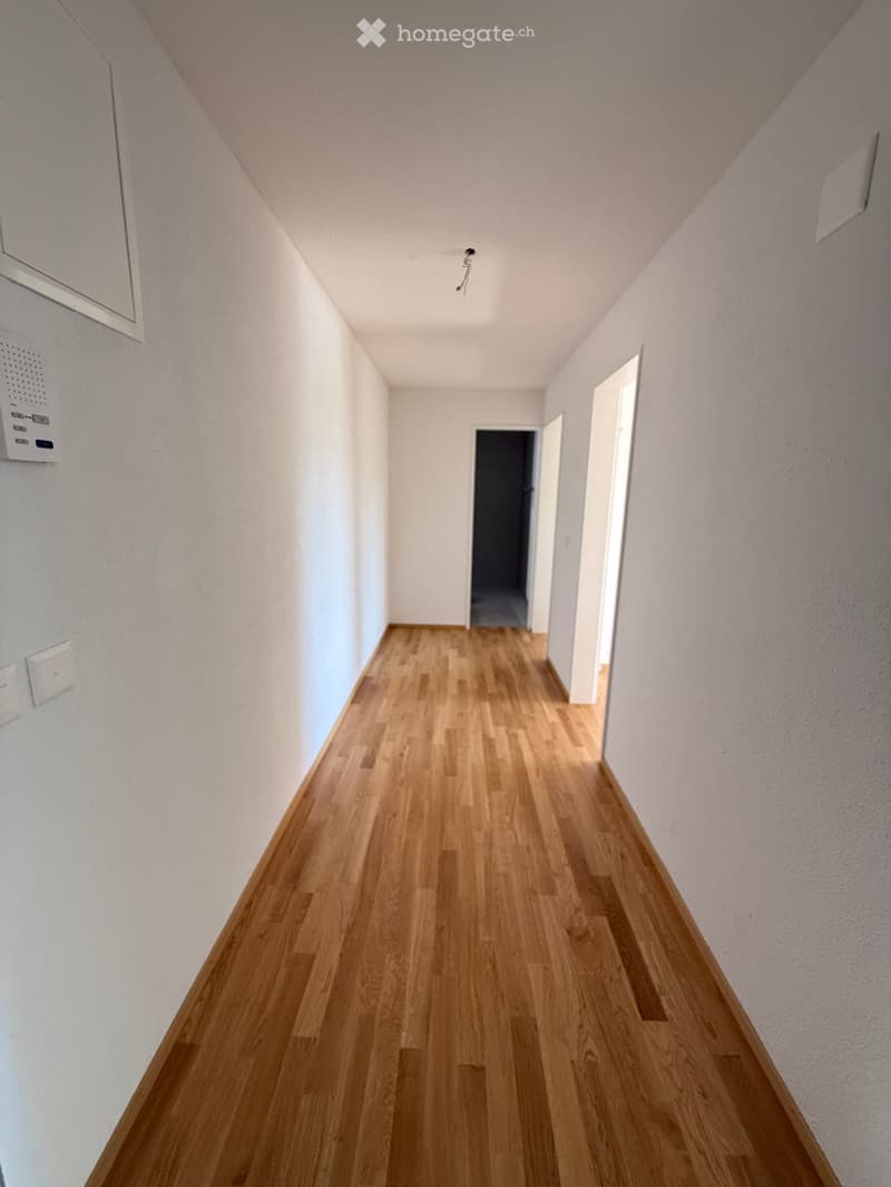 Empty hallway with wooden flooring and white walls, featuring a door at the end and a light fixture on the ceiling.