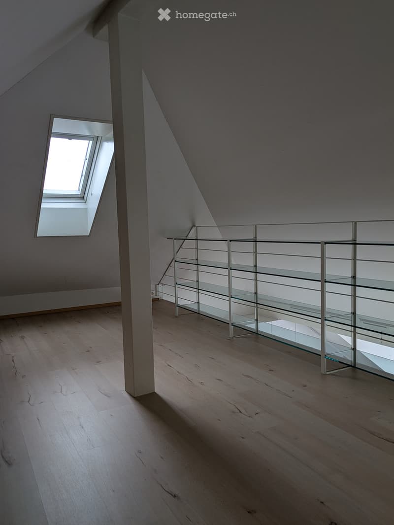 Empty attic space with wooden flooring, glass railing, and skylight window allowing natural light.