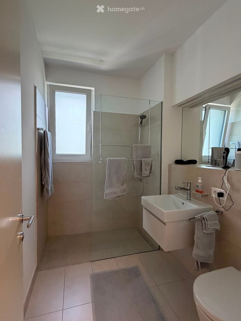Modern bathroom with a glass-enclosed shower, a white sink with a modern faucet, a toilet, and a large mirror above the sink. Towels are neatly placed on racks, and the space is well-lit with natural light from a window.