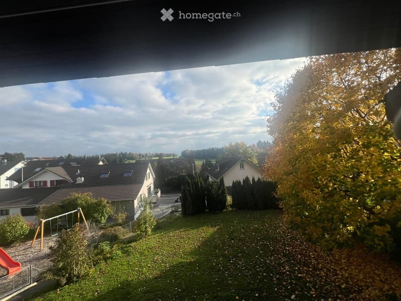 green grass, trees, bushes, swing, slide, red slide, houses, cloudy sky