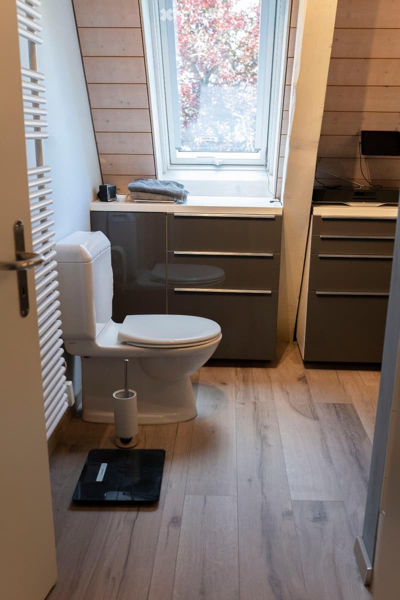 Modern bathroom with wooden flooring, a toilet, sink, mirror, towel, scale, and a radiator.