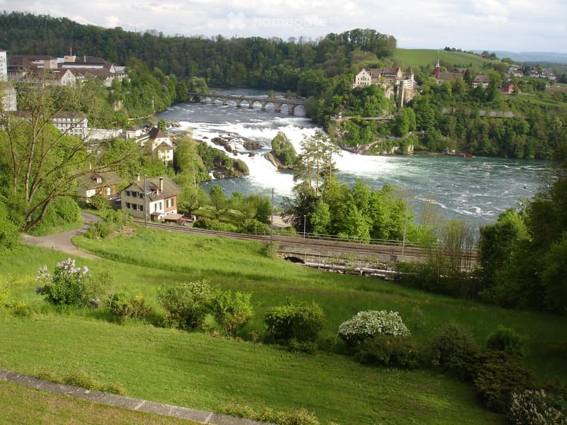 Scenic view of a river with a waterfall, surrounded by lush greenery, houses, and bridges.