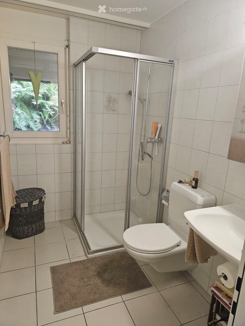 Modern bathroom with a glass-enclosed shower, toilet, sink, and a wicker basket on the floor. A towel hangs on the side, and a small bath mat is placed in front of the toilet.