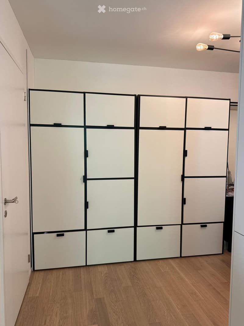 Empty room with light-colored walls, wooden flooring, and a large white modular storage unit with black trim.