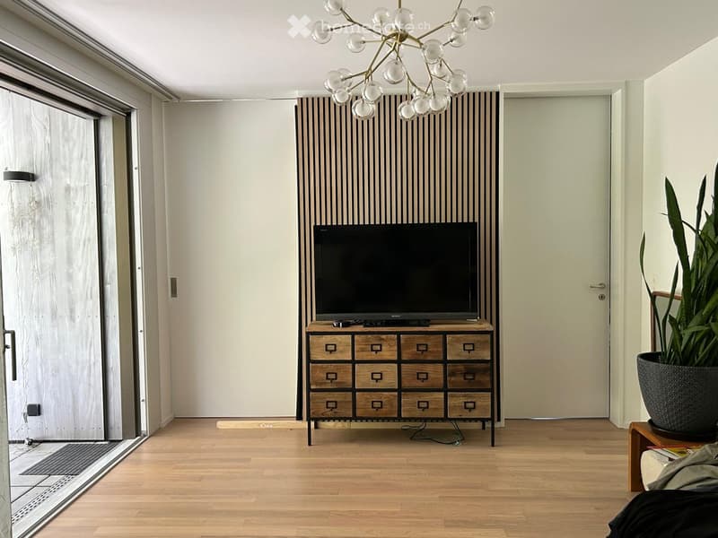 Modern living room with wooden flooring, a television on a wooden cabinet, a large chandelier, and a potted plant near the corner.