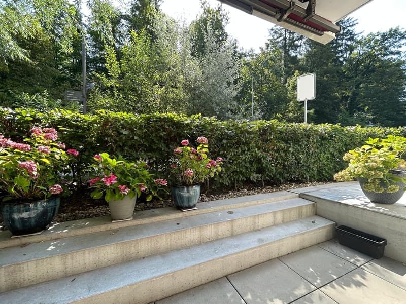 Concrete steps leading up to a landscaped area with potted plants and flowers, surrounded by greenery and trees.