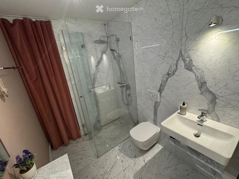 Modern bathroom with marble walls and floors, featuring a glass-enclosed shower, a toilet, a sink with a modern faucet, and a decorative flower pot on a marble countertop.