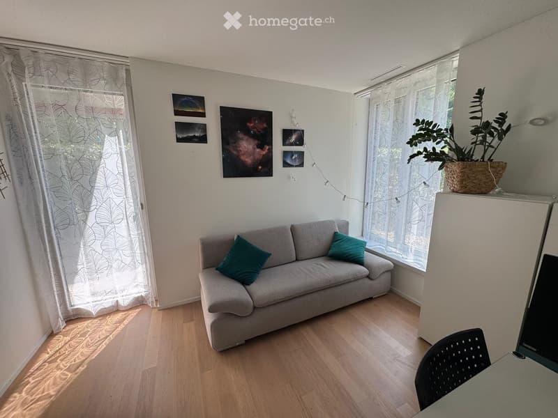 Bright living room with wooden flooring, large windows, grey sofa with green cushions, a black chair, a small table, and a potted plant on a shelf. Decor includes picture frames and string lights.