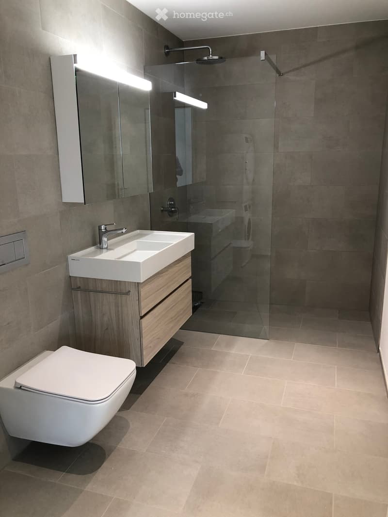 Modern bathroom with a white toilet, a wooden vanity with a sink, a large mirror, and a glass-enclosed shower with a modern showerhead.