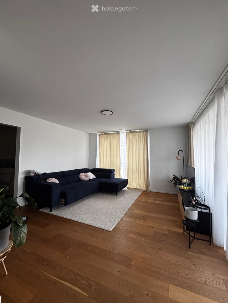 Modern living room with wooden flooring, large windows with beige curtains, a dark blue sectional sofa, a coffee table, a table lamp, and a potted plant.