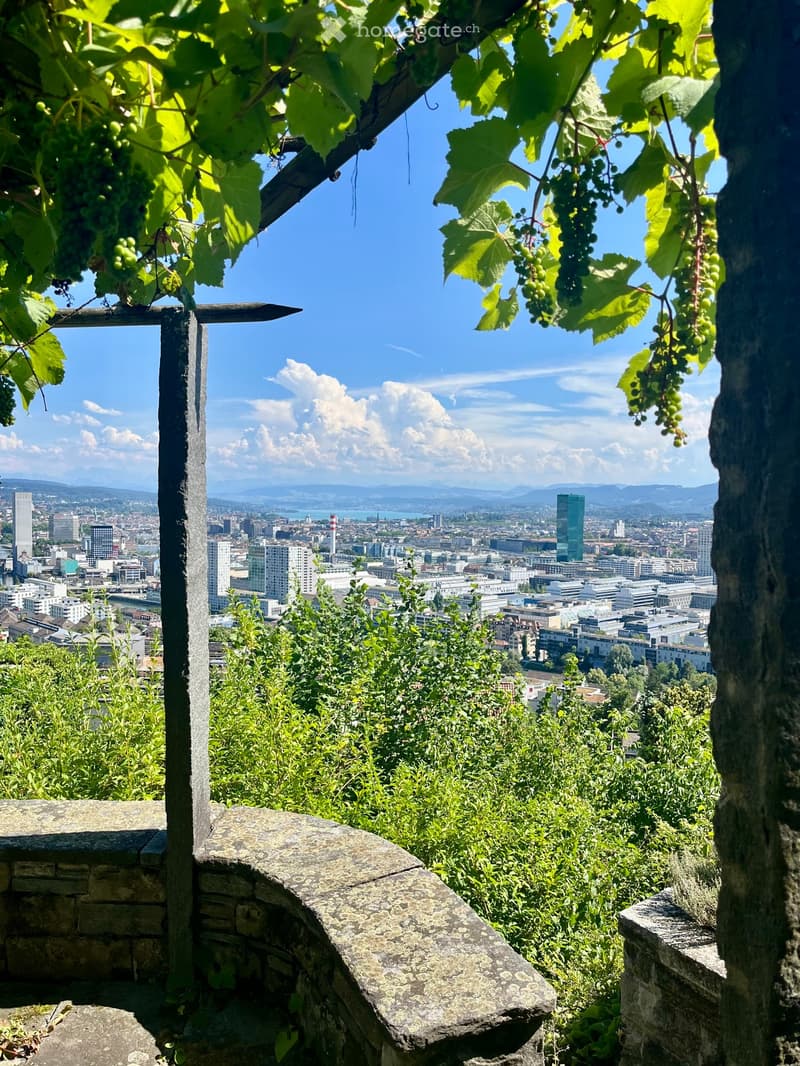 A balcony overlooking a cityscape with visible buildings, mountains, and grapevines on the railing.