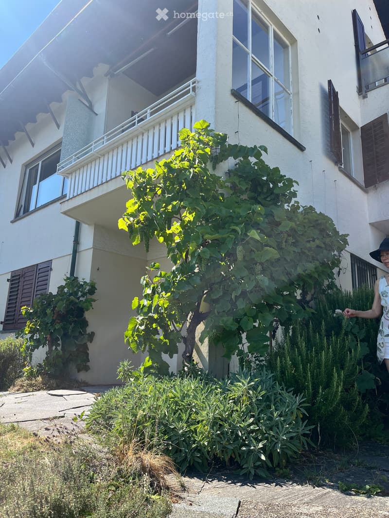Garden area with a large grapevine, herbs, and a woman in a hat standing near the house.