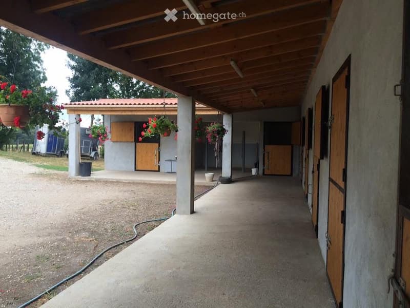 Outdoor covered walkway with wooden ceiling and concrete floor, leading to a stable area with wooden doors and hanging flower baskets.