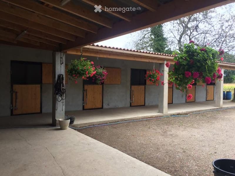 Outdoor stable area with wooden doors, hanging flower baskets, and a covered walkway.