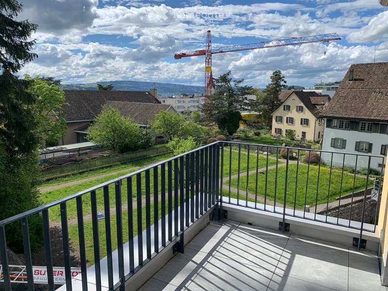 Balcony overlooking a green lawn, trees, and distant buildings with a clear blue sky and mountains in the background.
