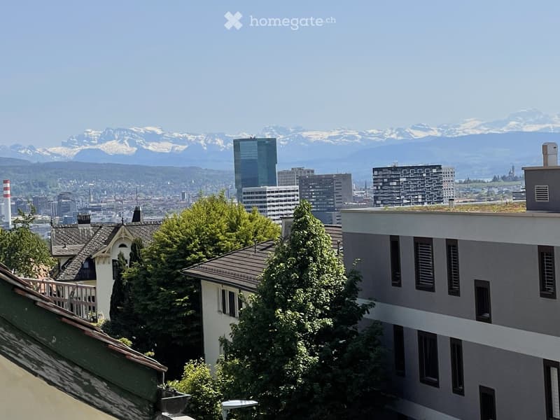 View of a cityscape with modern buildings and snow-capped mountains in the background, surrounded by trees and rooftops.