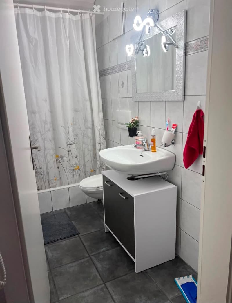 Modern bathroom with a white sink, mirror, toilet, and a shower curtain with a floral design. Includes a small cabinet, a towel, and a toothbrush holder.